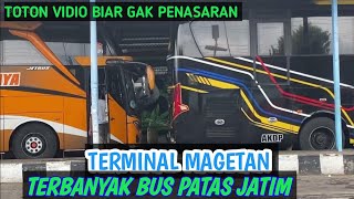 ngvlok bus di terminal magetanbus patas Jatim terbanyak [upl. by Kcirdla]