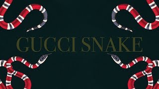 มือใหม่หัดเลี้ยงงู Gucci Snake  The PETTO EP37 [upl. by Ynaoj]