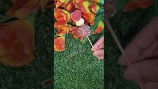 Mini Eye Candy👀 with Ferrero rocher Lollipop 🍡🤤 shorts youtubeshorts chocolate candy ytshorts [upl. by Asenab]