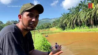 Biar betul Kuala Kangsar ada Kolam ternak Udang Galah [upl. by Abrahan]