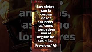 Proverbios 176 ✝️❤️😊 reflexiones jesus diosamor jesuschrist dios amor amordedios [upl. by Petra998]