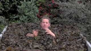 SEAWEED HOW TO USE IN YOUR GARDEN [upl. by Uok]