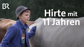 Ferien auf Allgäuer Alpe Kleinhirte mit 11 Jahren  Zwischen Spessart und Karwendel  BR [upl. by Montano]