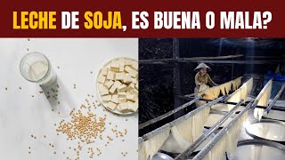 LECHE DE SOJA por qué es nutritiva [upl. by Ovid]