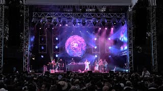 Fat Freddys Drop Trickle Down Live at Hagley Park 2019 [upl. by Ainiger]