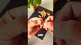 Dancing Peanuts 🥜 😋 😍 ♥️ A2HDStudio youtubeshorts shorts funny [upl. by Drew]