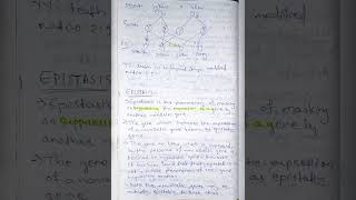 Lethal alleles and Epistasis epistasis bsczoology biology zoologynotes notes [upl. by Shirley139]