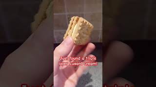 TRIPLE LAYER CUSTARD CREAM [upl. by Arval]