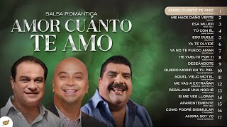 Salsa Romántica Amor Cuánto Te Amo – Salsa Power [upl. by Guthrey]