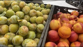 Mercado do Fazendeiro  Farmers Market [upl. by Belanger]