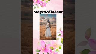 MHSRB EXAM PREPARATION MCQS 2024 stages of labour [upl. by Colbert]