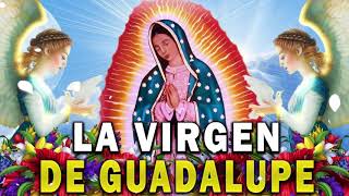 La Virgen De Guadalupe  Cántos a la virgen de Guadalup  Canto De Alabanza disco completo [upl. by Prevot]