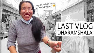 How she became my favorite Tibetan 🤗 in McLeodganj Dharamshala  LAST VLOG [upl. by Anemix]