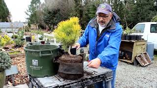 Advantages of Root Control Grow Bags [upl. by Harobed32]