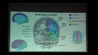 CME Series Video 2  Approach to Acute Stroke in ER [upl. by Ailbert]