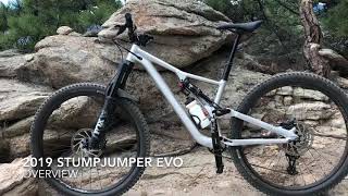 2019 Stumpjumper EVO Overview [upl. by Kcirreg]