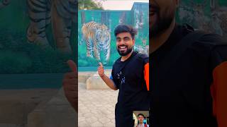 Watch Full Vlog of Jungle Safari 😍 dushyantkukreja shorts [upl. by Clim]