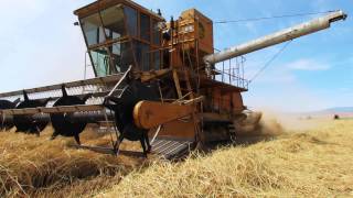 Historic Hardy Harvester in action [upl. by Trembly]