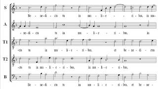 Byrd Ave Maria Score Tenor1 [upl. by Stedmann867]