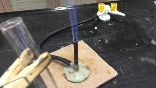 Cation Test Ammonium Ions [upl. by Pollard194]