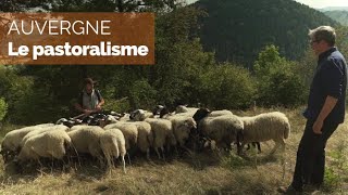 Le pastoralisme avec Esteban [upl. by Walworth614]