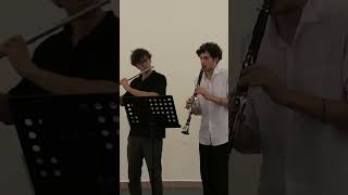 Mozart Rondo Alla Turca for flute and clarinet shorts shorts flute clarinet crazy improvise [upl. by Limoli20]