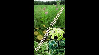 CBSENCERT Science Class7 Nutrition In PlantsquotAutotrophic NutritionquotBrightIQ Shorts [upl. by Cutler]