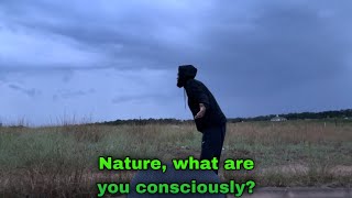 What Is The True Contradicted Nature Of Consciousness and Self [upl. by Aticilef194]