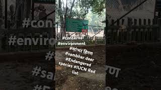 IUCN Red list सांभरहिरण endangered saveanimalkingdom savelife shorts viral rajkumar [upl. by Einobe216]