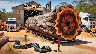 Massive Sawmills Cutting Trembesi Logs in London ‼ Incredible Woodworking Power in Action [upl. by Notneb503]