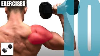 10 SHOULDER EXERCISES YOU CAN DO WITH ONLY ONE DUMBBELL [upl. by Tallbot602]