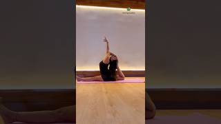 Sitting Yoga Asana Sequence yogaurmi yogateacher urmiyogaacademy yogapose asana yogaasana [upl. by Laamak309]