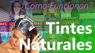 ¿Qué son los TINTES NATURISTAS o Naturales 🌿 para el Cabello  Para CANAS sin Peróxido ni Amoniaco [upl. by Juanita678]