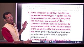 Cutaneous circulation The salient features viveksirsphysiology vsp [upl. by Haelat]