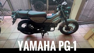 Yamaha PG1 Quick Review PH [upl. by Acinat93]