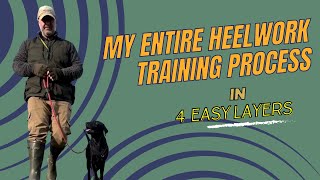 My Entire Heelwork Training Process In 4 Easy Layers [upl. by Arraes]