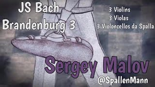 Bach Brandenburg Concerto 3 played by Sergey Malov Spallenmann [upl. by Eelarac]