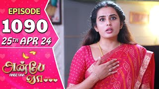 Anbe Vaa Serial  Episode 1090  25th April 24  Virat  Shree Gopika  Saregama TV Shows Tamil [upl. by Nodnal638]