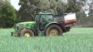 Fordell Onion Topdressing Part 1 [upl. by Raoul35]