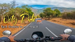 Bike ride through Gudalur to masinagudi Ep5  Ooty trip  ooty masinagudi gudalur ​bike ride [upl. by Atiran737]