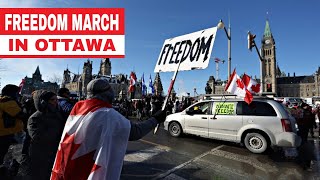 Canadian Truckers Freedom Convoy Ottawa 🇨🇦 live Canada freedom freedomconvoy2022 trucks [upl. by Jaal]