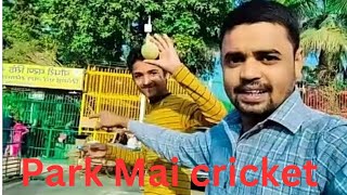 Best Park Cricket Vlogs [upl. by Gitel]