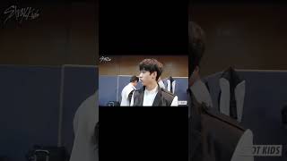 Quokka vs Kangaroo bangchan 방찬 hanjisung 한지성 straykids 스트레이키즈 skz [upl. by Guria]