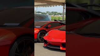 Lamborghini with LBWK 🤑 shorts lamborghini lamborghiniaventador car carlover [upl. by Woolson252]