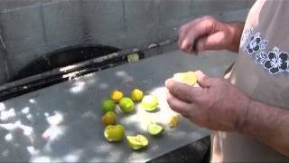 Growing White Sapote [upl. by Latsyrhk]