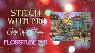 STITCH WITH ME  Close Up Stitching HAED Paris Streets WIP  Flosstube 245 STITCHERY LOVERS [upl. by Atikcir]