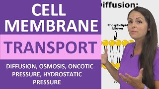 Cell Membrane Transport Passive amp Active Diffusion Osmosis Hydrostatic Oncotic Pressure Colloid [upl. by Ssej168]