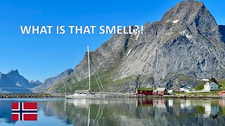 Scenic dinghy ride in Lofoten Ep 35 [upl. by Novello297]