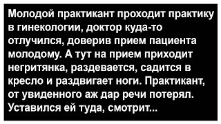 Почему практикант от увиденного дар речи потерял Анекдоты Сборник юмора [upl. by Atiroc]