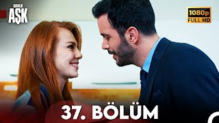 Kiralık Aşk 37 Bölüm Full HD [upl. by Pace62]